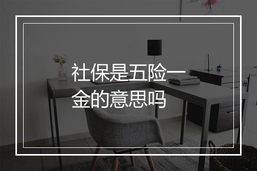 社保是五险一金的意思吗
