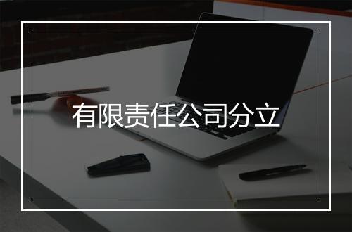 有限责任公司分立