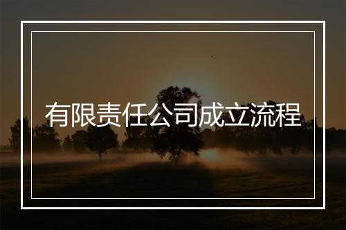 有限责任公司成立流程