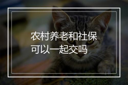 农村养老和社保可以一起交吗