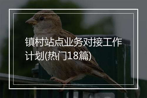 镇村站点业务对接工作计划(热门18篇)