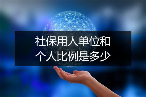 社保用人单位和个人比例是多少