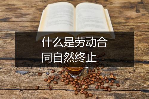 什么是劳动合同自然终止