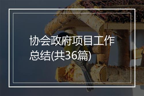 协会政府项目工作总结(共36篇)