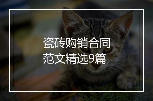 瓷砖购销合同范文精选9篇
