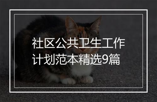 社区公共卫生工作计划范本精选9篇