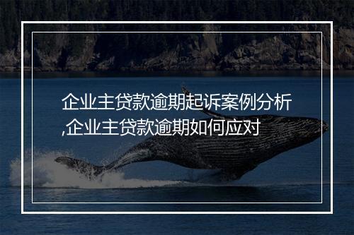 企业主贷款逾期起诉案例分析,企业主贷款逾期如何应对
