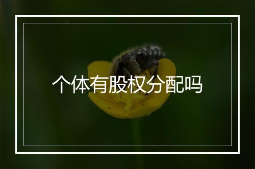 个体有股权分配吗