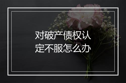 对破产债权认定不服怎么办