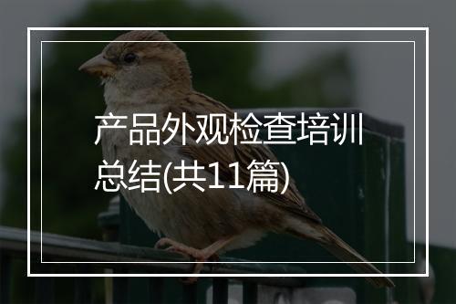 产品外观检查培训总结(共11篇)