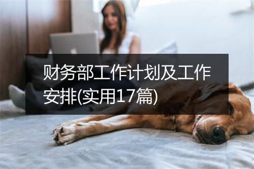 财务部工作计划及工作安排(实用17篇)