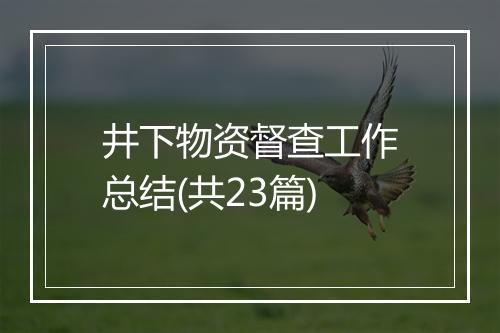 井下物资督查工作总结(共23篇)