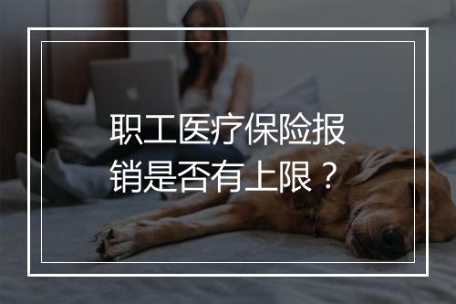 职工医疗保险报销是否有上限？