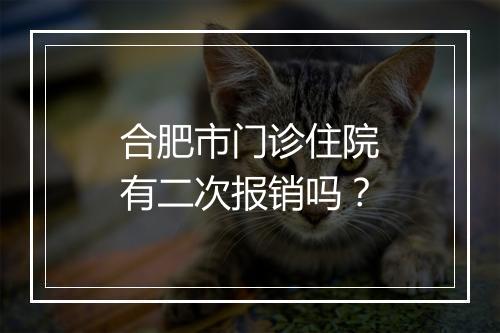 合肥市门诊住院有二次报销吗？