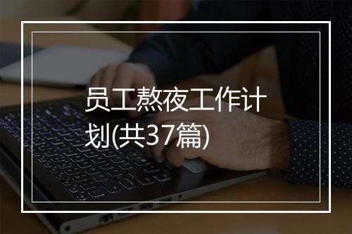 员工熬夜工作计划(共37篇)