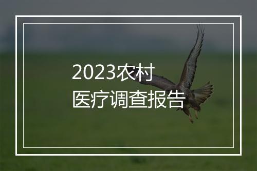2023农村医疗调查报告