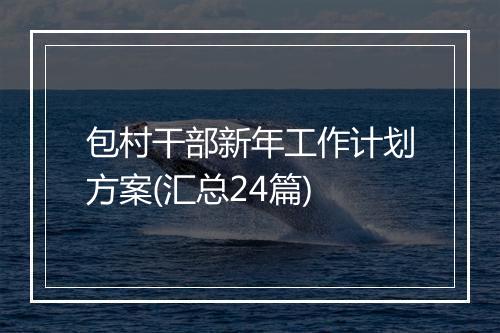 包村干部新年工作计划方案(汇总24篇)