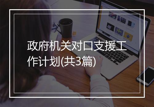 政府机关对口支援工作计划(共3篇)