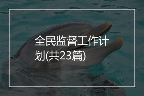 全民监督工作计划(共23篇)