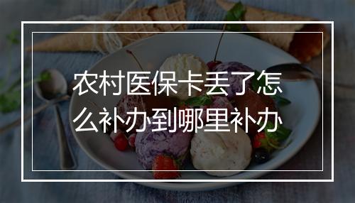 农村医保卡丢了怎么补办到哪里补办