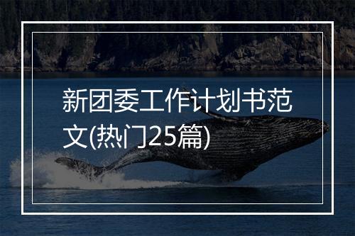 新团委工作计划书范文(热门25篇)