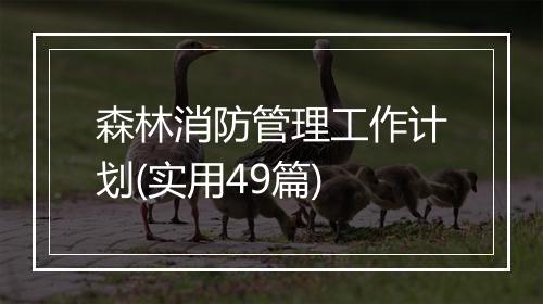 森林消防管理工作计划(实用49篇)