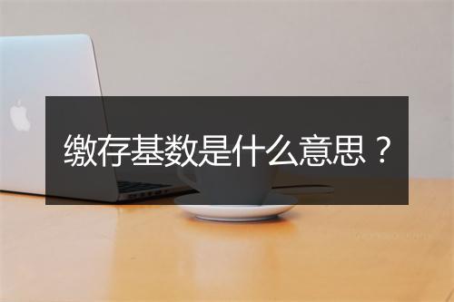 缴存基数是什么意思？