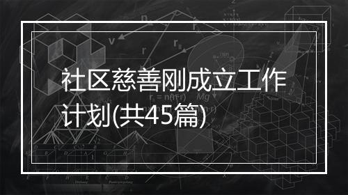 社区慈善刚成立工作计划(共45篇)