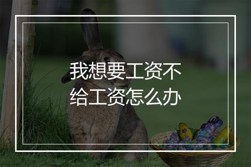 我想要工资不给工资怎么办