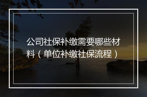 公司社保补缴需要哪些材料（单位补缴社保流程）