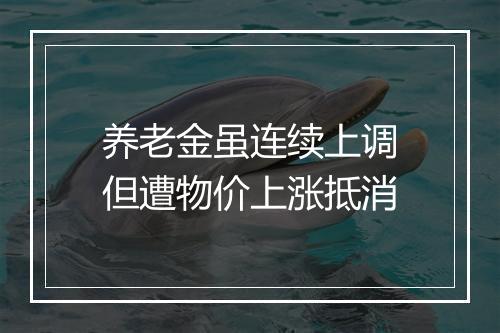 养老金虽连续上调但遭物价上涨抵消