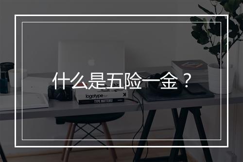 什么是五险一金？