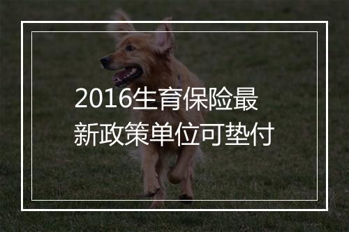 2016生育保险最新政策单位可垫付