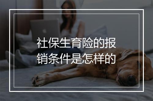 社保生育险的报销条件是怎样的