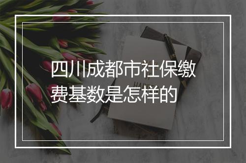 四川成都市社保缴费基数是怎样的