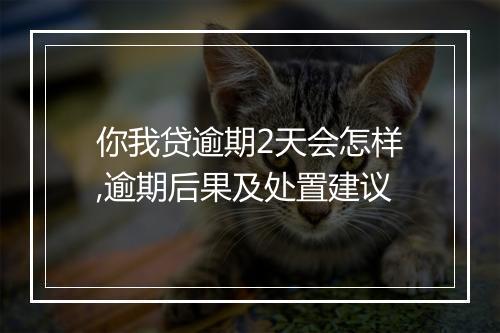 你我贷逾期2天会怎样,逾期后果及处置建议
