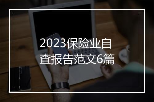 2023保险业自查报告范文6篇