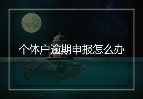 个体户逾期申报怎么办