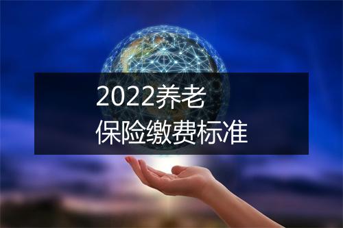 2022养老保险缴费标准
