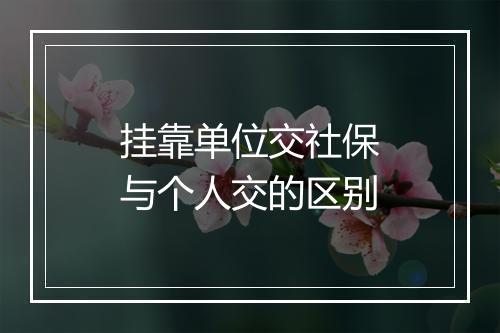 挂靠单位交社保与个人交的区别