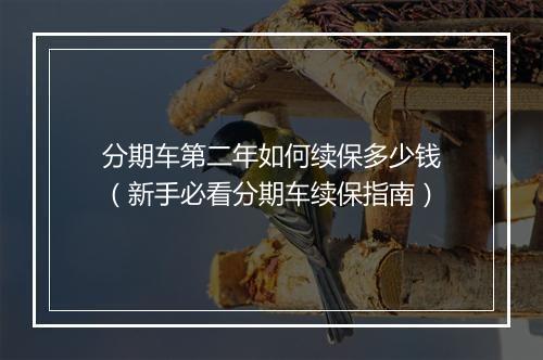 分期车第二年如何续保多少钱（新手必看分期车续保指南）