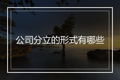 公司分立的形式有哪些