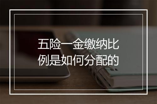 五险一金缴纳比例是如何分配的