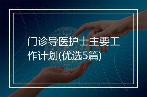 门诊导医护士主要工作计划(优选5篇)