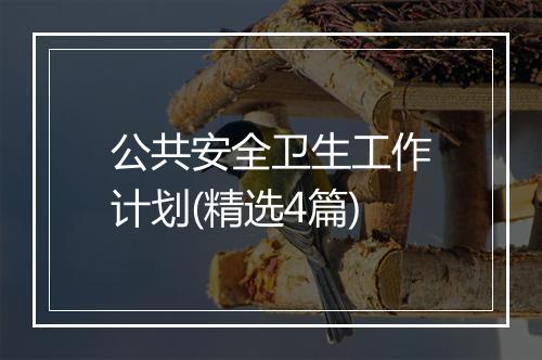 公共安全卫生工作计划(精选4篇)
