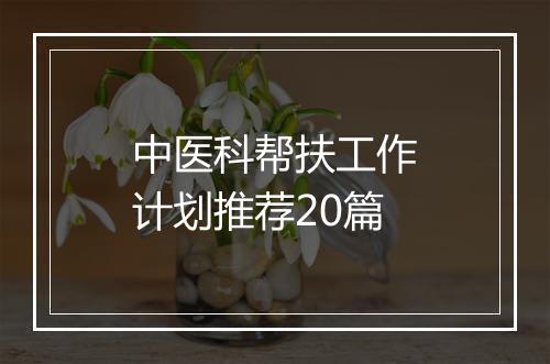 中医科帮扶工作计划推荐20篇