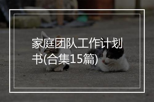 家庭团队工作计划书(合集15篇)