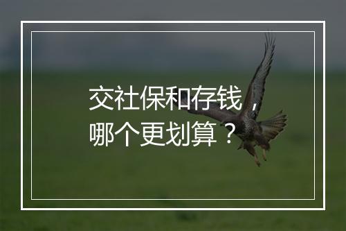 交社保和存钱，哪个更划算？