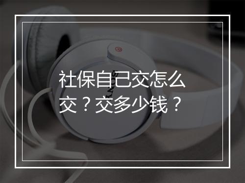 社保自己交怎么交？交多少钱？