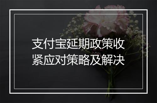 支付宝延期政策收紧应对策略及解决